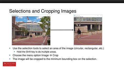 Image result for ImageJ Tutorial Selection
