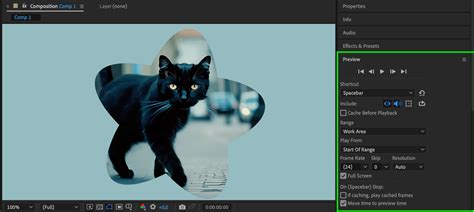 Using Round After Effect Expr に対する画像結果