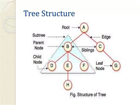 Image result for Forest and Trees Data Structure in Research