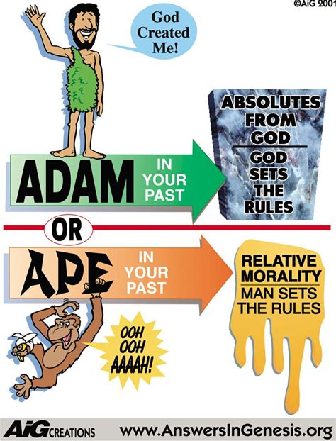 Toradh íomhá ar Creation vs Evolution