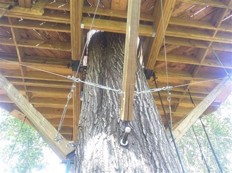 Afbeeldingsresultaten voor Single Tree Treehouse