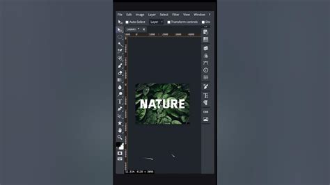 Photopea Masking Tutorial に対する画像結果