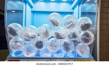 Image result for Vending Machine Drawing