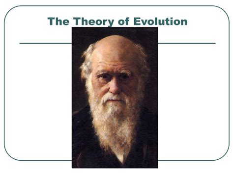 Image result for Scientific Theory of Evolution