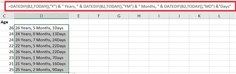 Image result for How to Formulate Age in Excel