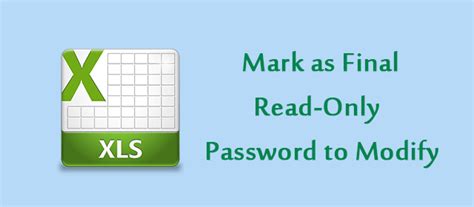 Image result for How to Make an Excel Spreadsheet Read Only