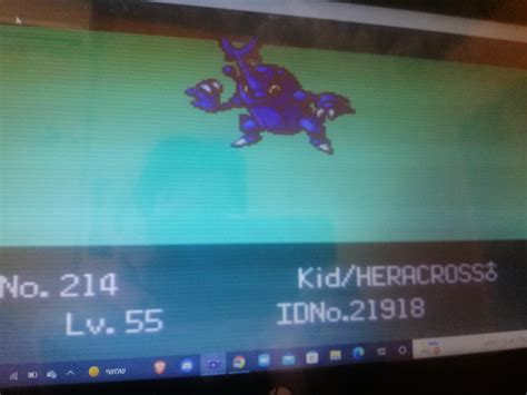 Image result for Emerald Nuzlock Randomizer