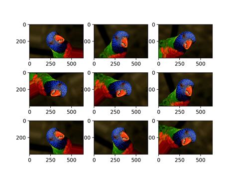 Image result for Image Augmentation