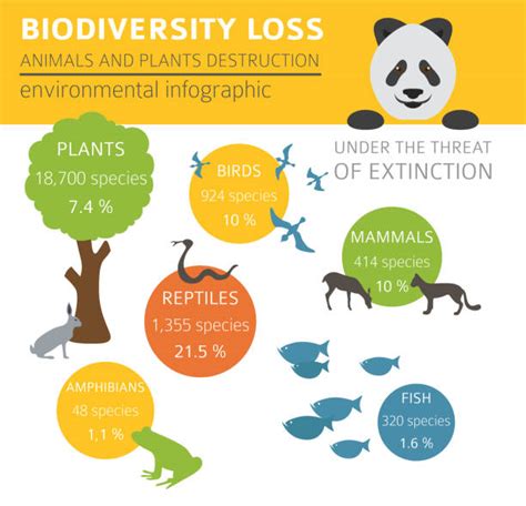 Image result for Biodiversity Loss Graph