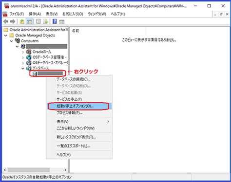 Start Oracle Database Windows に対する画像結果