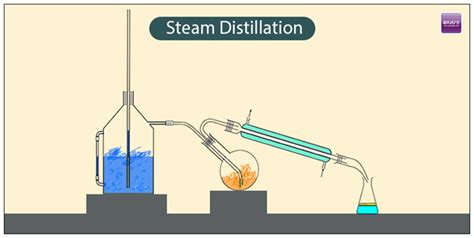 Image result for Steam Distillation Process