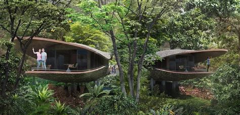 Image result for Reconectar Con Naturaleza