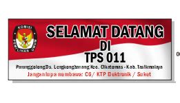 Baner TPS に対する画像結果