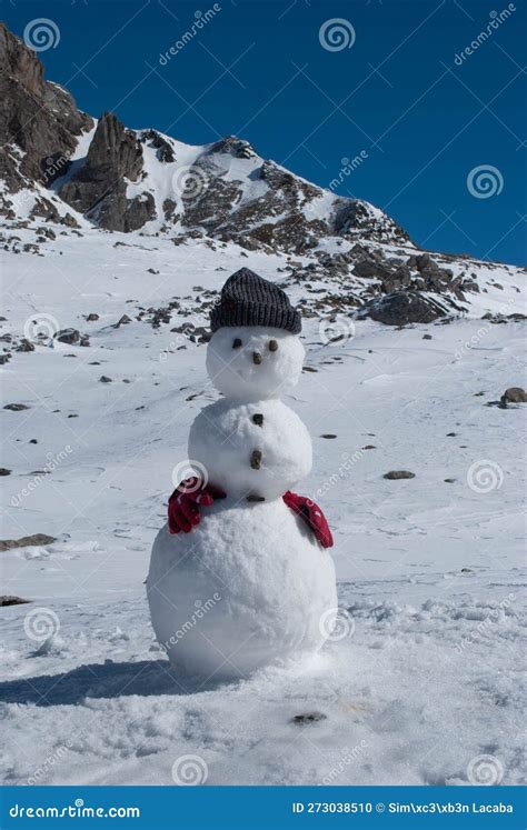 Snowman in Winter Wonderland Stock Photo - Image of wintry, seasonal ...