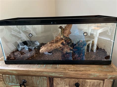 Image result for Python Snake Cage