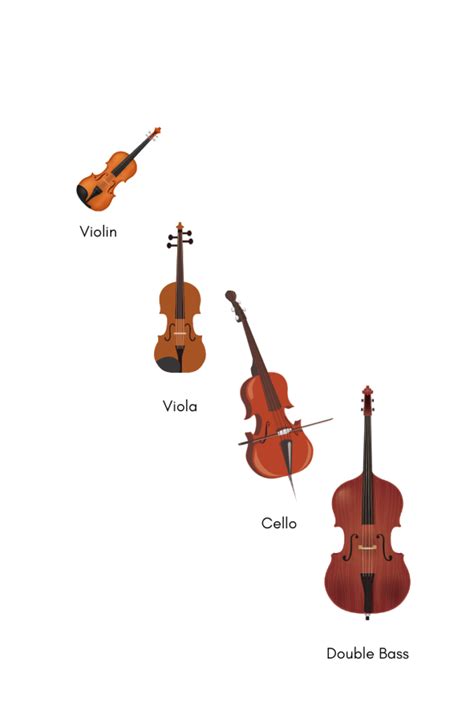 Image result for Musical Instruments String Family