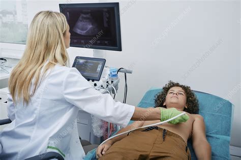 Image result for Ultrasound Probe Heart