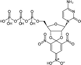 Afbeeldingsresultaten voor CTP Structure