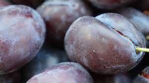 Image result for Red Plumcot