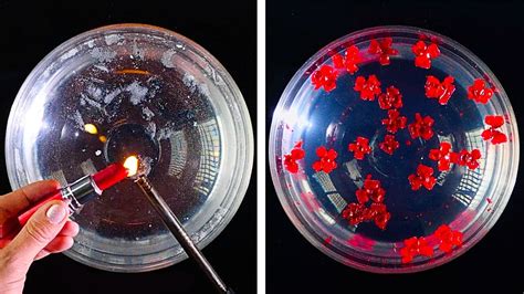 Image result for Awesome Magic Tricks