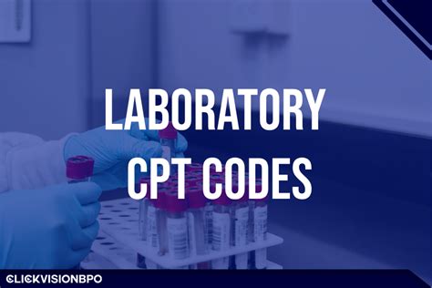 Image result for Lab Test Code Template