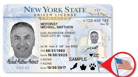 Afbeeldingsresultaten voor New York Commercial Driver License