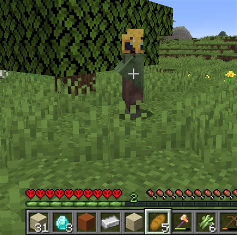 Toradh íomhá ar Villager Exploits Minecraft Java
