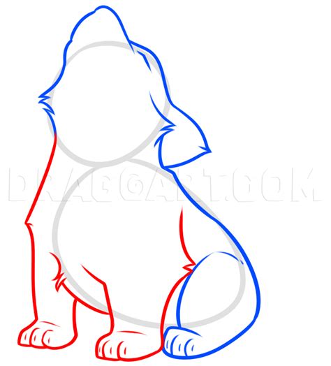 Image result for Wolf Pup Drawing Tutorial