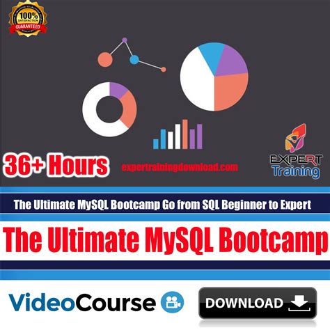 Beginner MySQL-க்கான படிம முடிவு