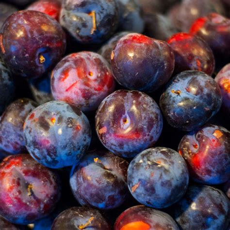 Image result for Red Plumcot