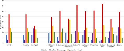 Image result for Mathernal Death in Low-Income Countries