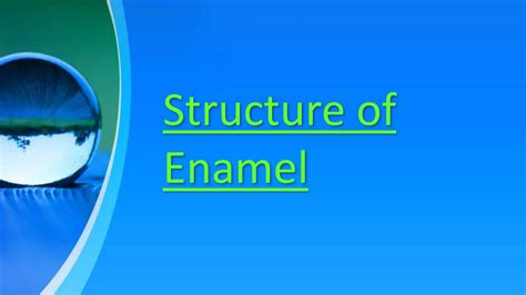 Image result for Composition of Enamel Flowchart