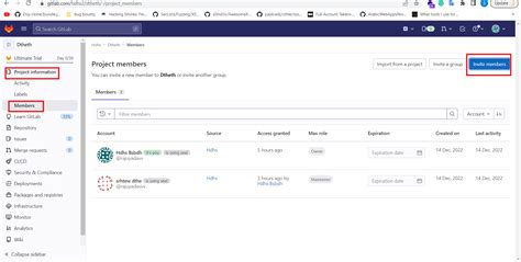 Image result for Is Only the Project Owner Has Access to Setting Menu in GitLab