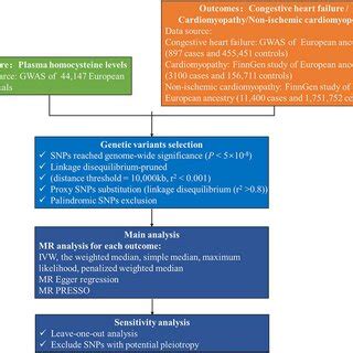Image result for Mendelian Randomization Studies