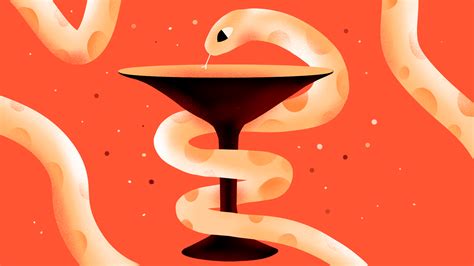 Image result for Python and Medicine