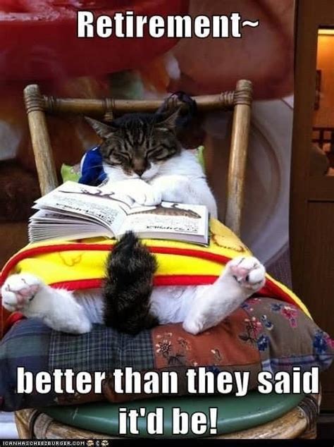 Image result for Retirement Lunch Meme