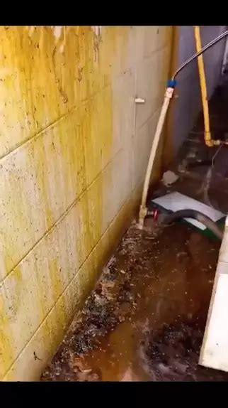 Image result for CRB Android Kitchken Crack Download