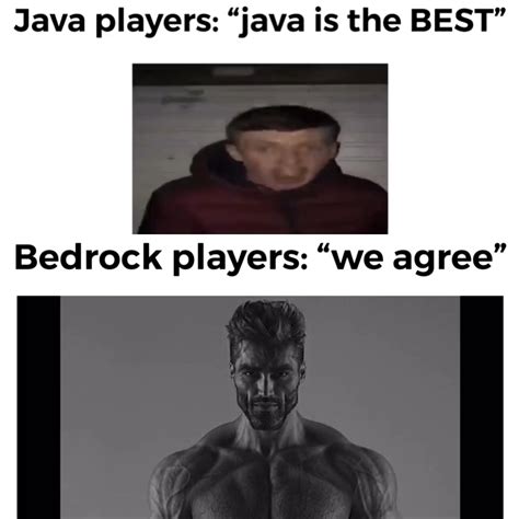 Image result for Java vs Windows 10 Minecraft Meme