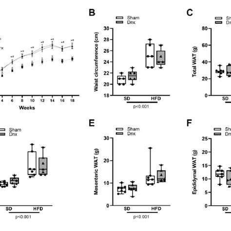 Afbeeldingsresultaten voor Wat Adipose Tissue