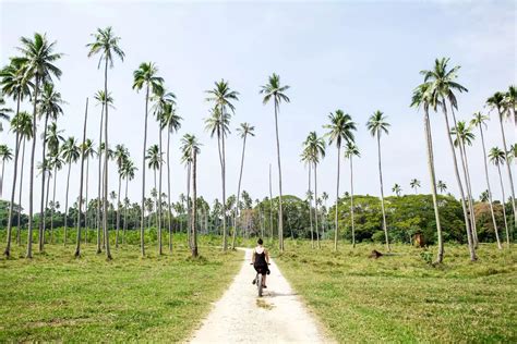 Aore Debugger に対する画像結果