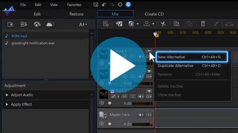 Image result for AudioDirector