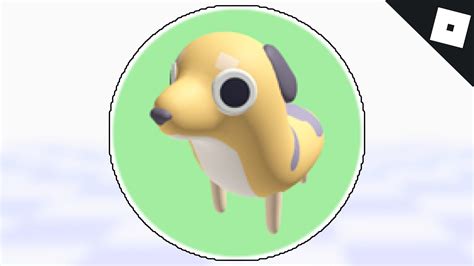 Image result for Roblox Animal Verification