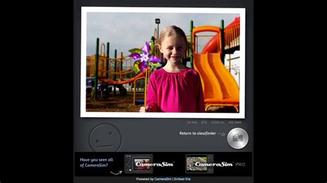 Image result for Camera Simulation