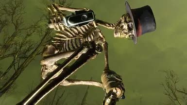Image result for Fallout 4 Skeleton