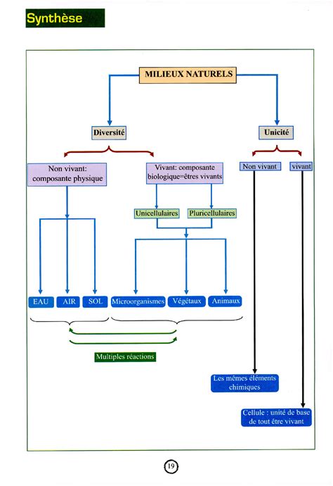 Image result for Decouverte Du Milieu