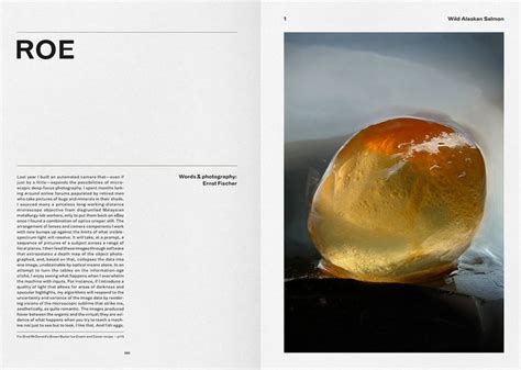 Image result for Best Opening Book Page Design