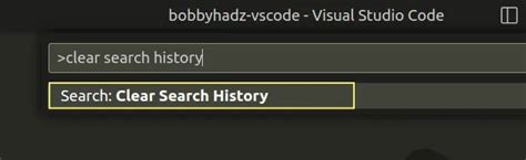 Image result for How to Clear Visual Studio Cache