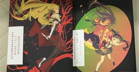 Image result for Bakemonogatari Book