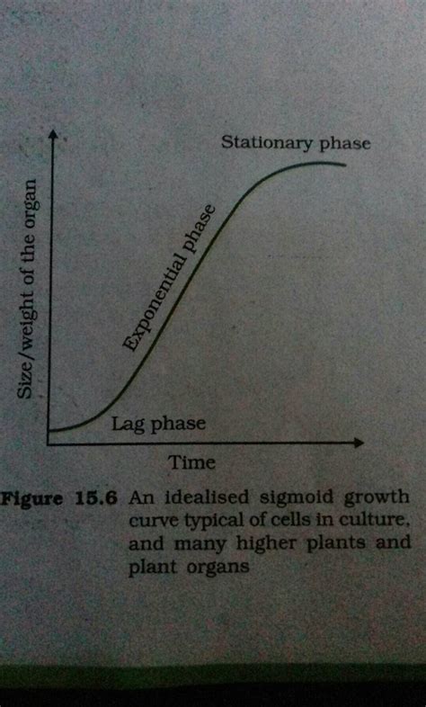 Time Figure 15.6 An idealised sigmoid growth curve typical of cells in cu..