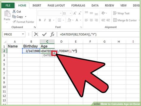 Image result for How to Formulate Age in Excel